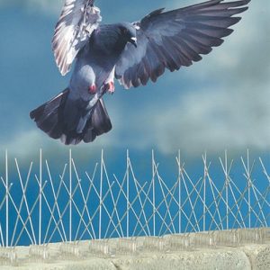 birds-spikes birds-spikes